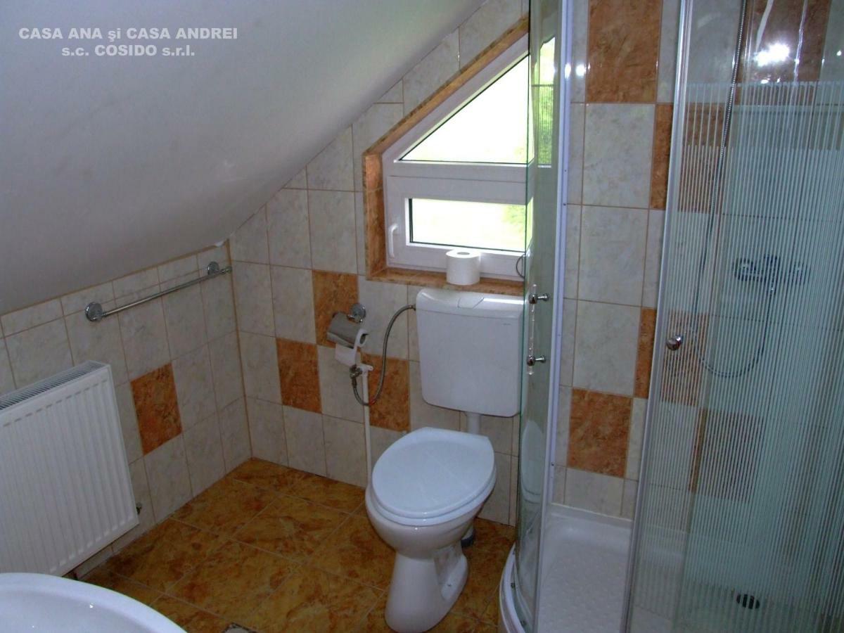 Casa Ana Vatra Dornei Villa Dealu Floreni Exterior photo