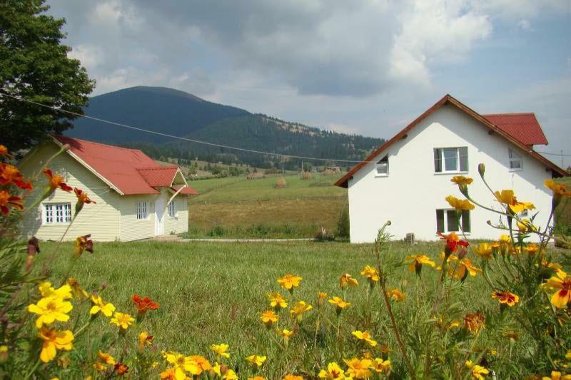 Casa Ana Vatra Dornei Villa Dealu Floreni Exterior photo